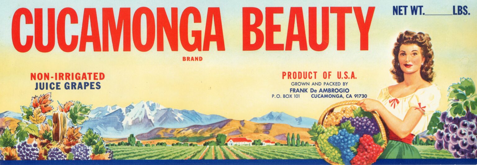 Cucamonga Beauty
